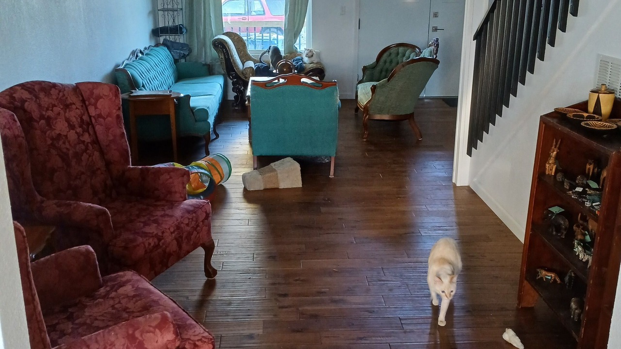 Photo of Livingroom in Marion