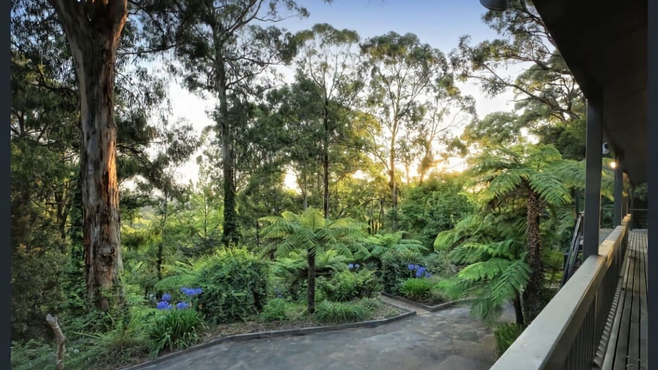 Photo of Outdoor in Menzies Creek