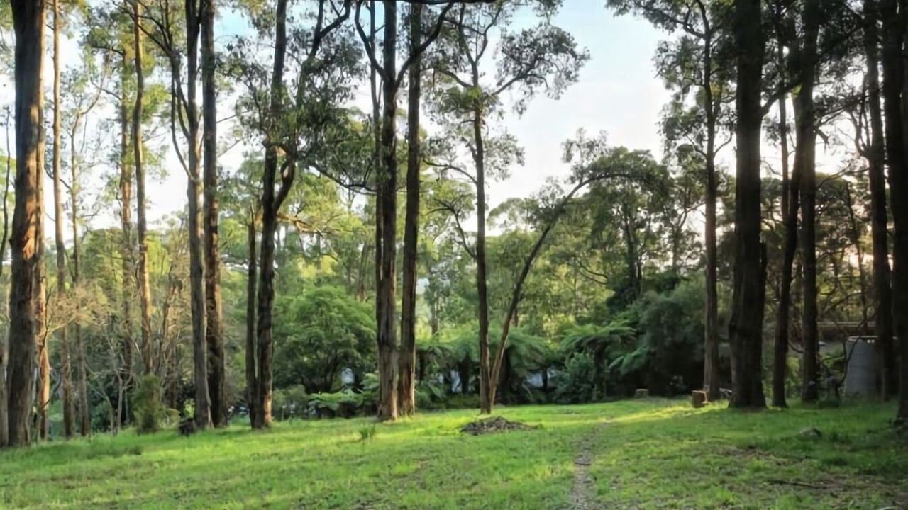 Photo of Others in Menzies Creek