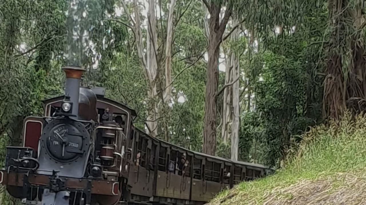 Photo of Others in Menzies Creek