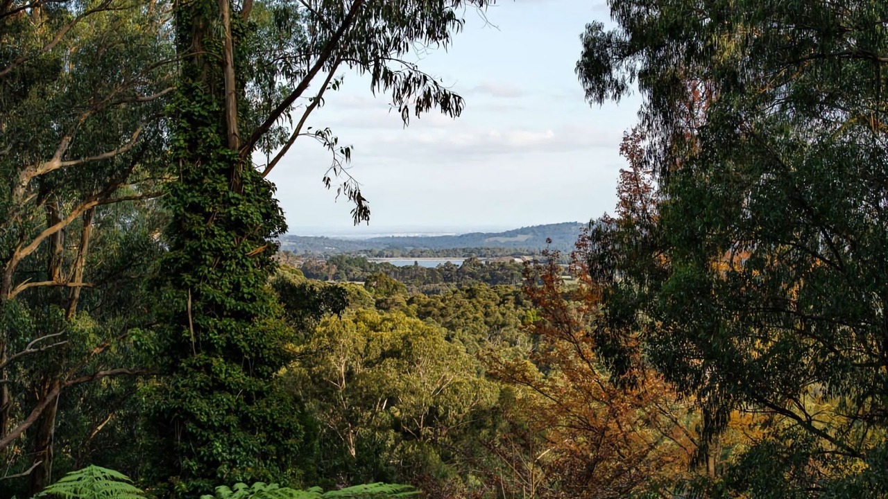 Photo of Others in Menzies Creek