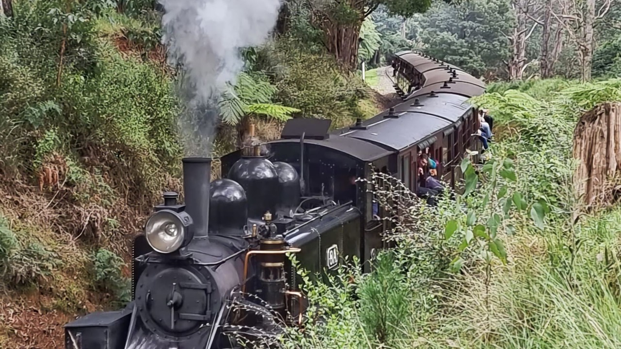 Photo of Others in Menzies Creek