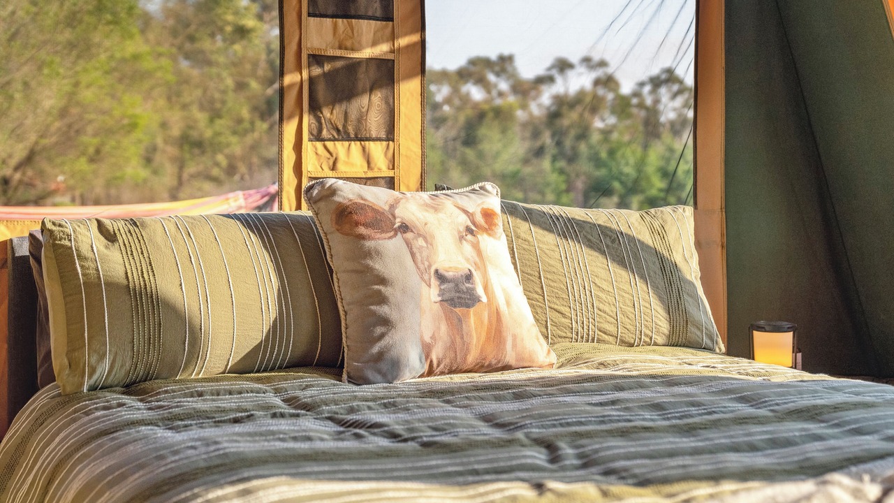 Photo of Others in She Oaks