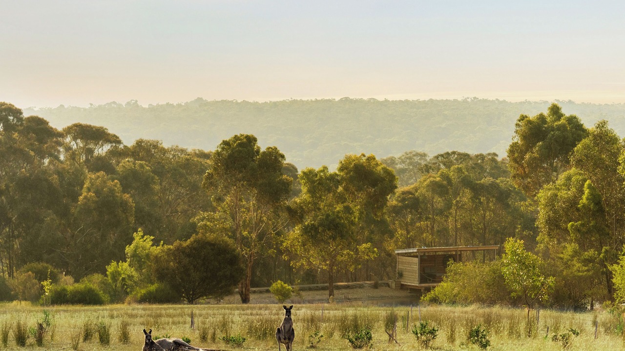 Photo of Others in She Oaks