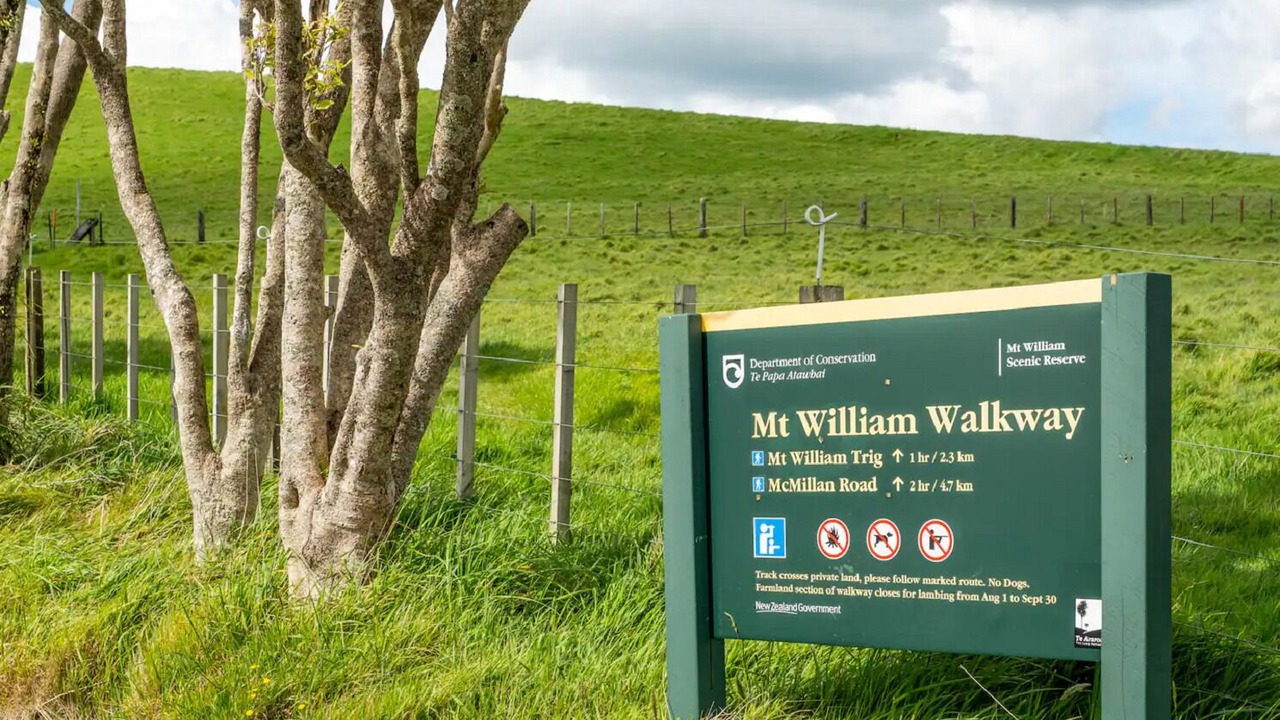 Photo of Others in Waikato District