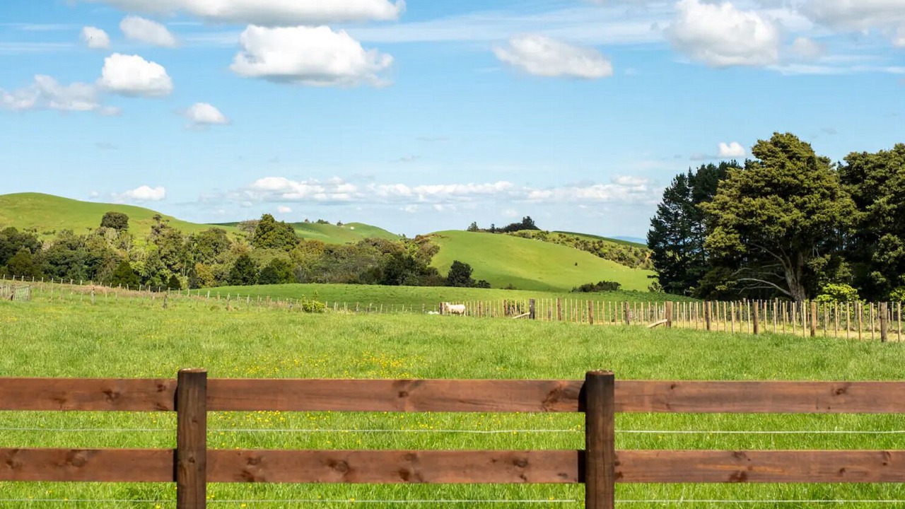 Photo of Outdoor in Waikato District