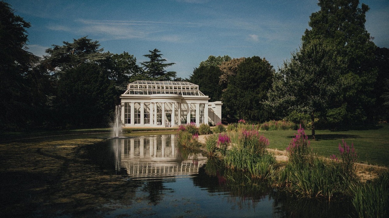 Photo of Others in South Acton