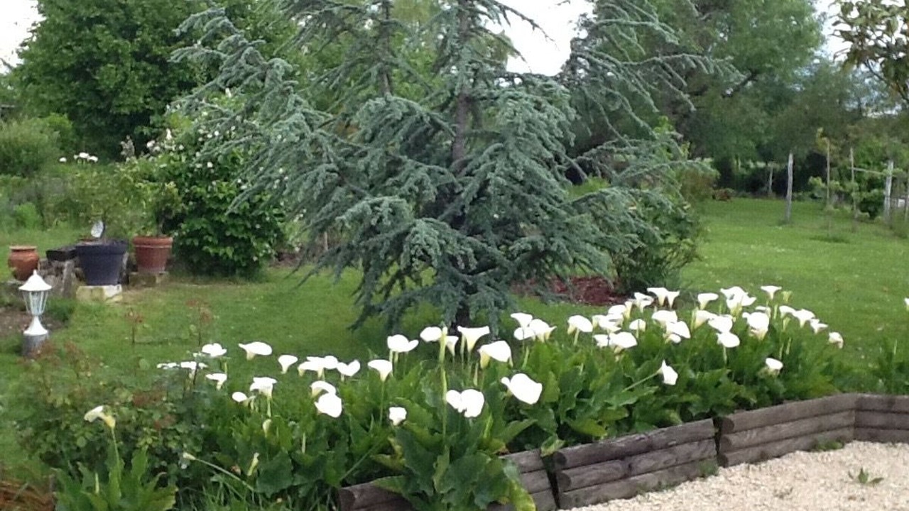 Photo of Outdoor in Azay-le-Ferron