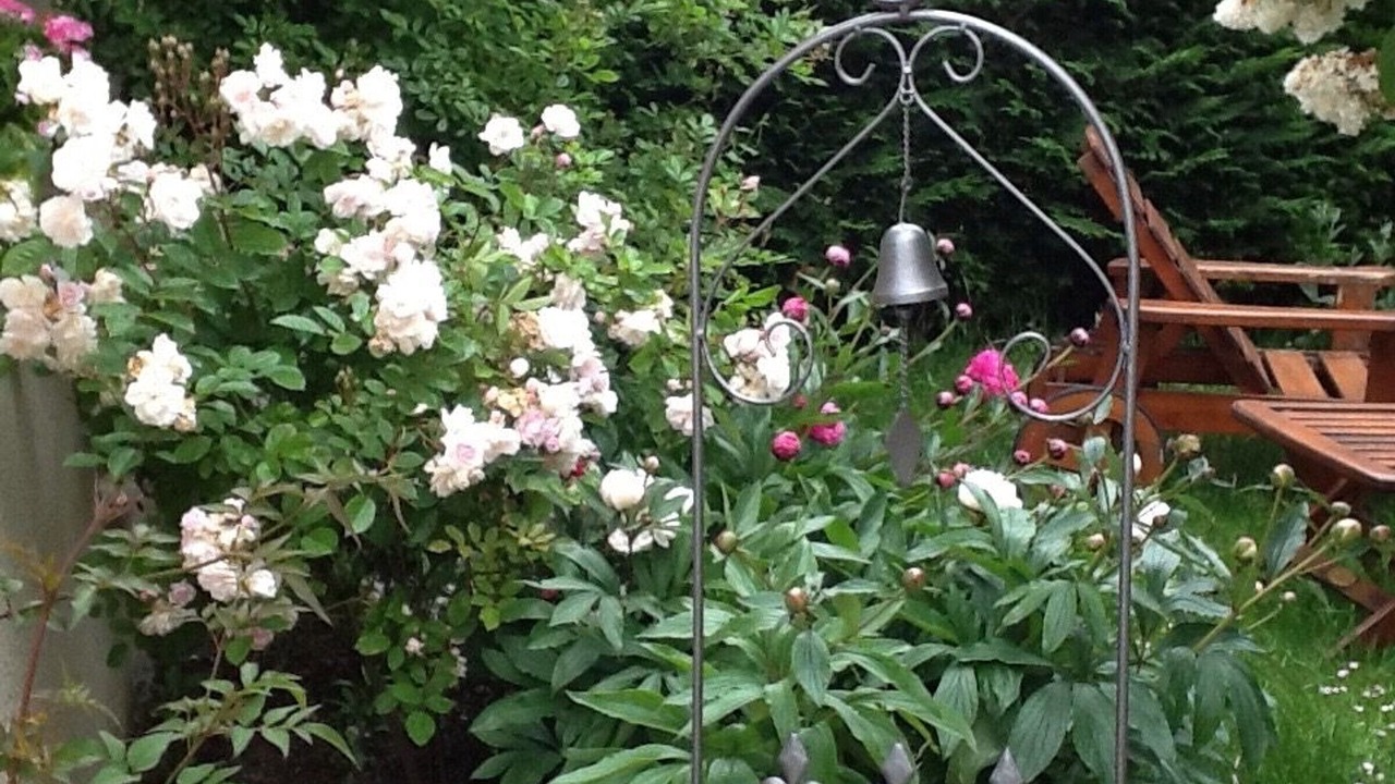 Photo of Outdoor in Azay-le-Ferron