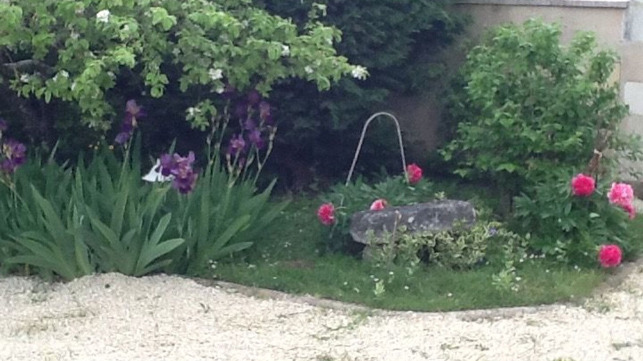 Photo of Outdoor in Azay-le-Ferron