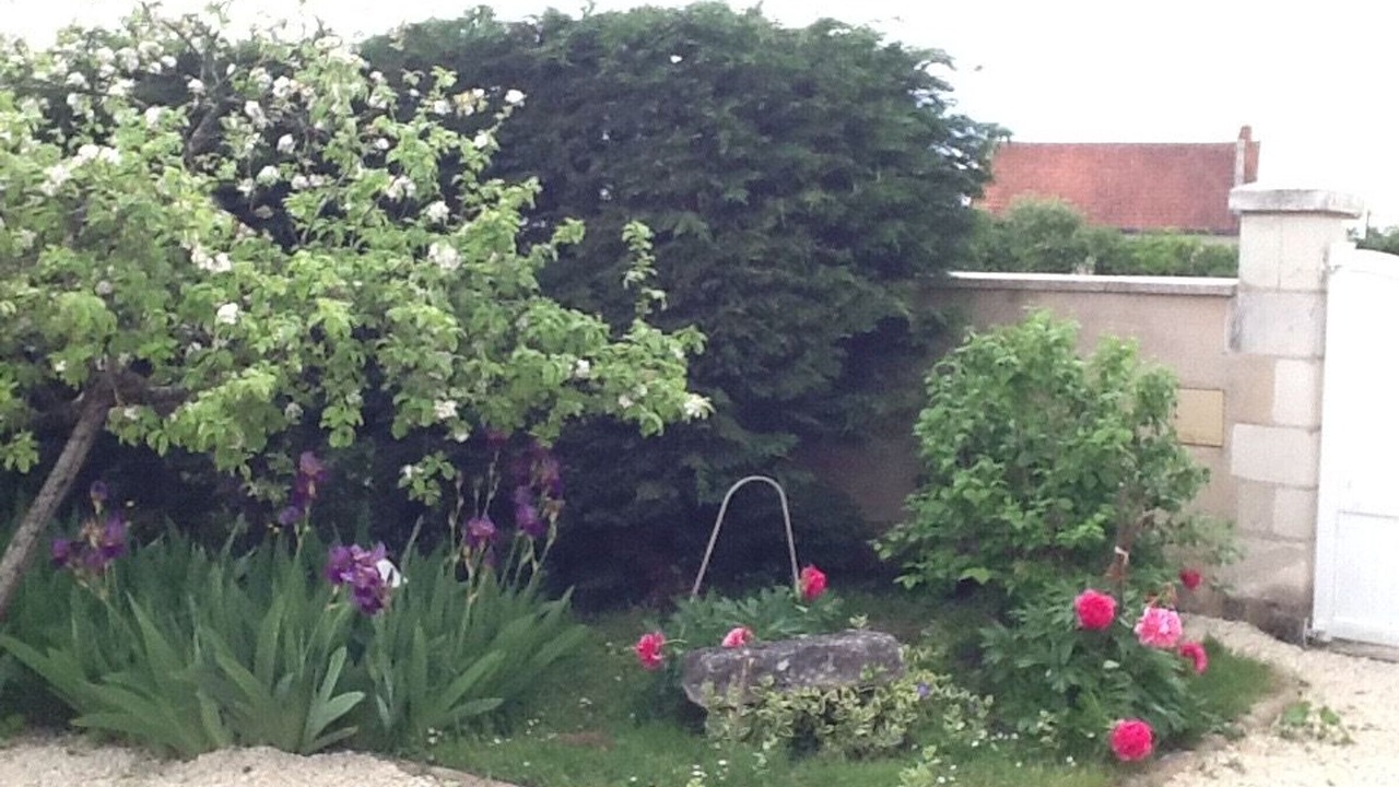 Photo of Outdoor in Azay-le-Ferron