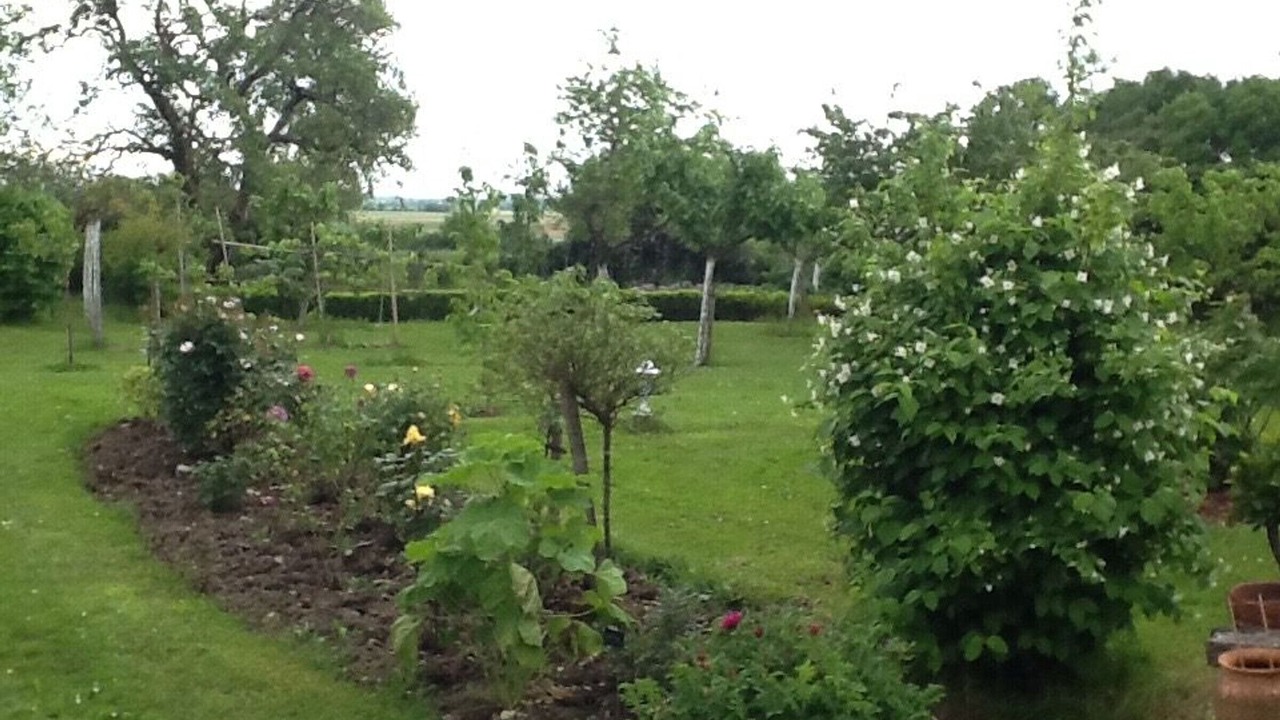 Photo of Outdoor in Azay-le-Ferron