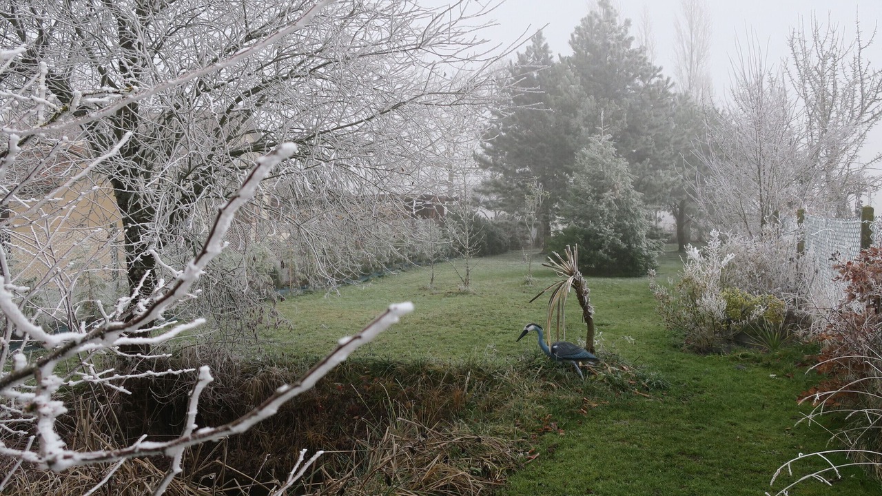 Photo of Outdoor in Azay-le-Ferron