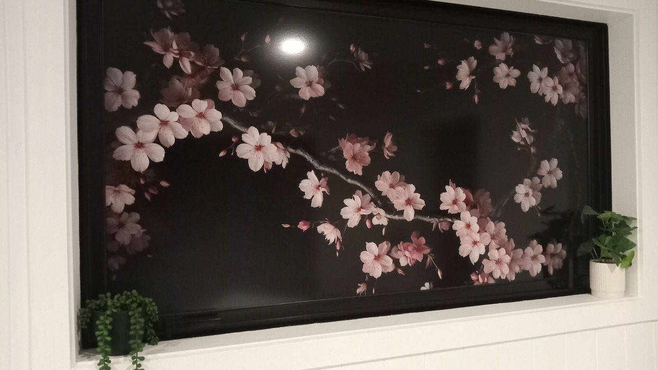 Photo of Others in Mangawhai