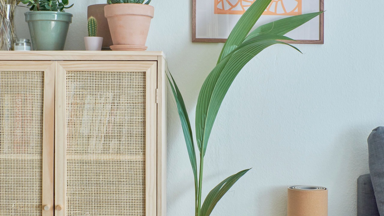 Photo of Others in København N