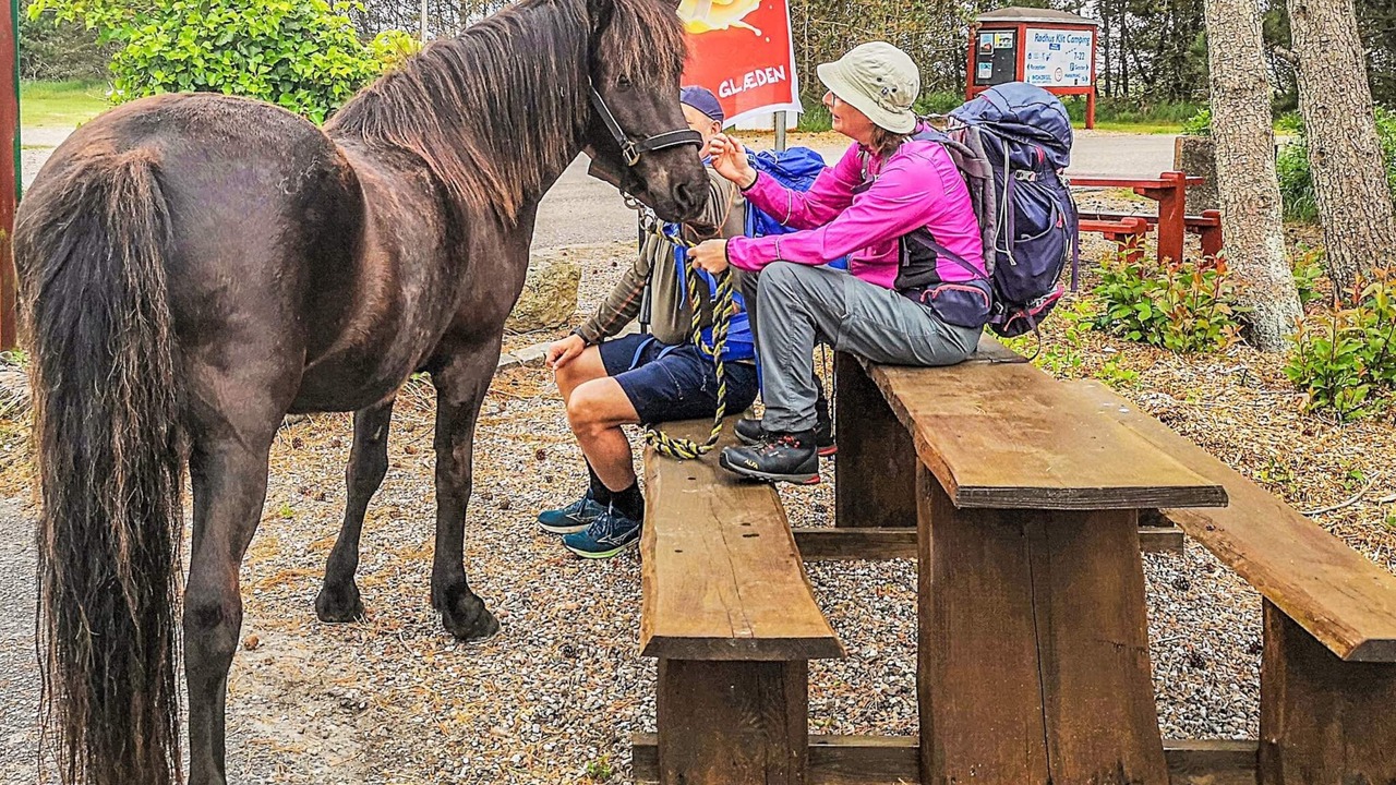 Photo of Others in Pandrup