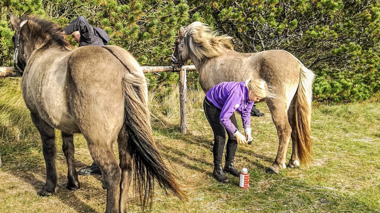 Photo of Others in Pandrup