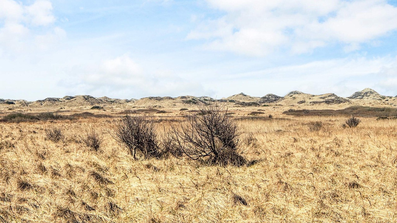Photo of Others in Rødhus