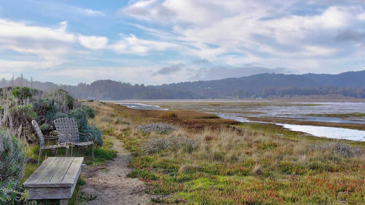 Photo of Others in Stinson Beach