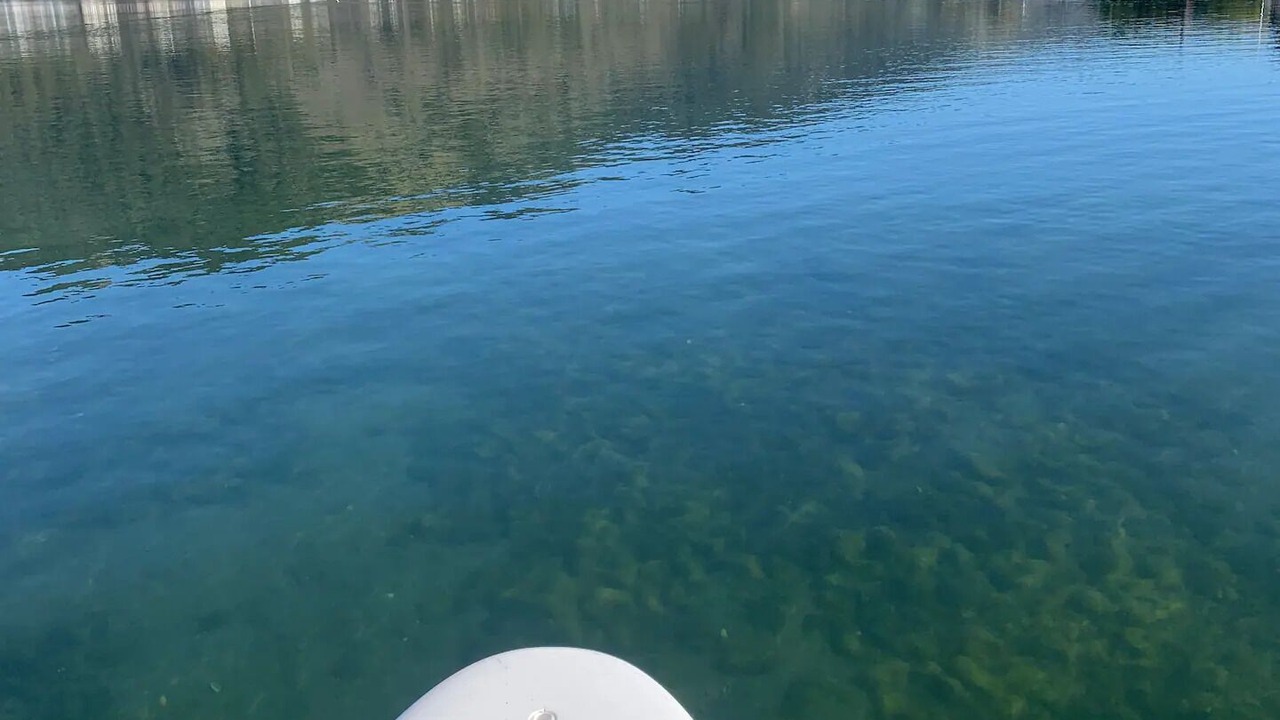 Photo of Others in Stinson Beach