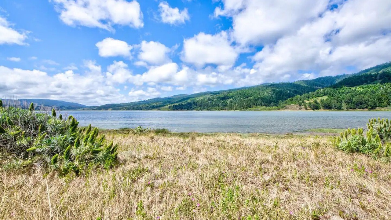 Photo of Others in Stinson Beach
