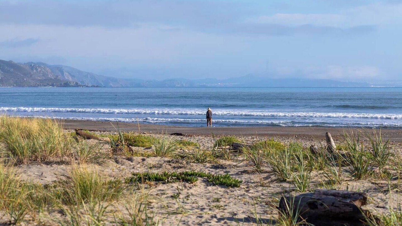 Photo of Others in Stinson Beach