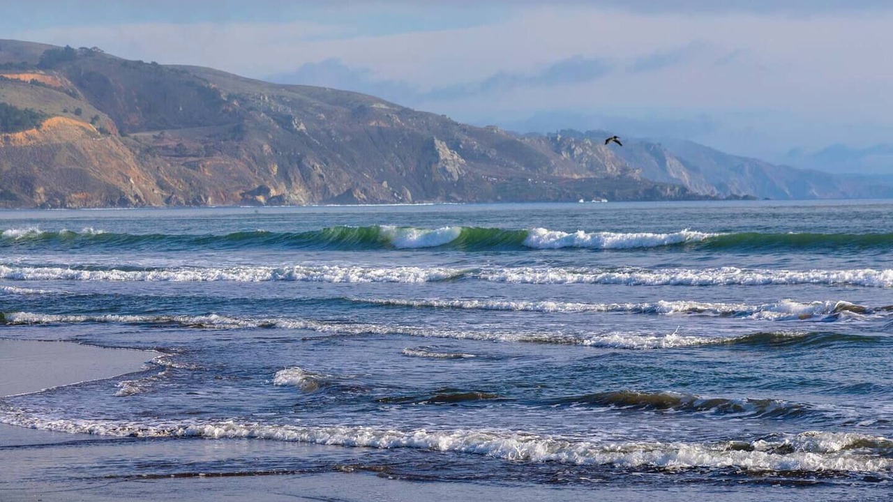 Photo of Others in Stinson Beach