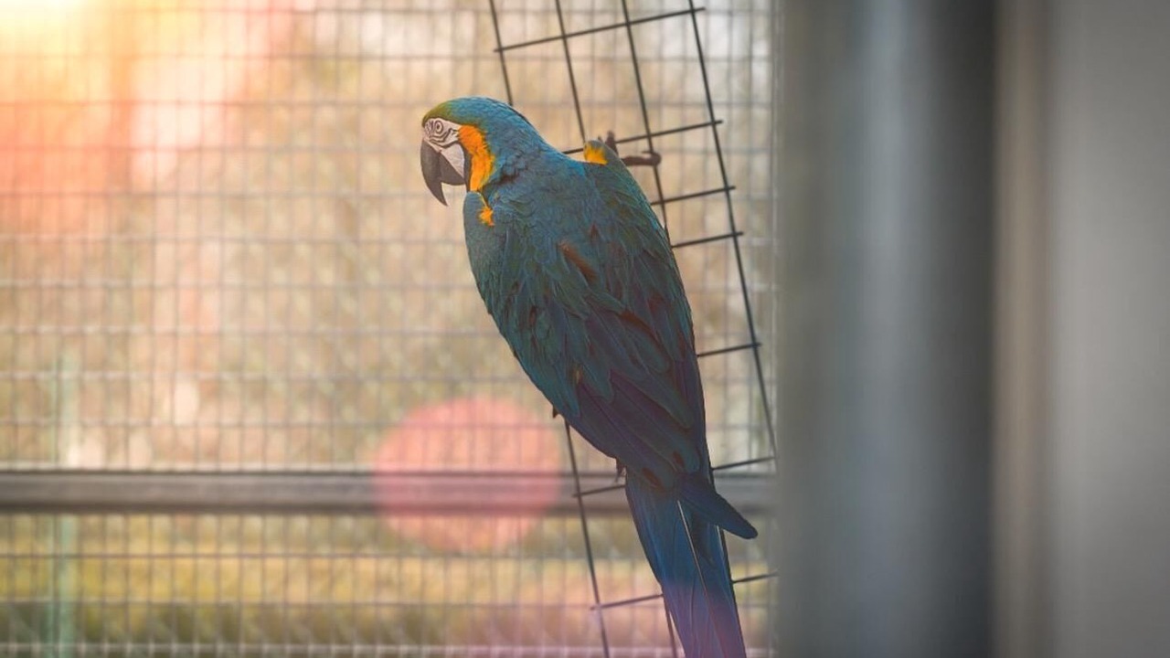 Photo of Outdoor in Saint-Germain-du-Plain