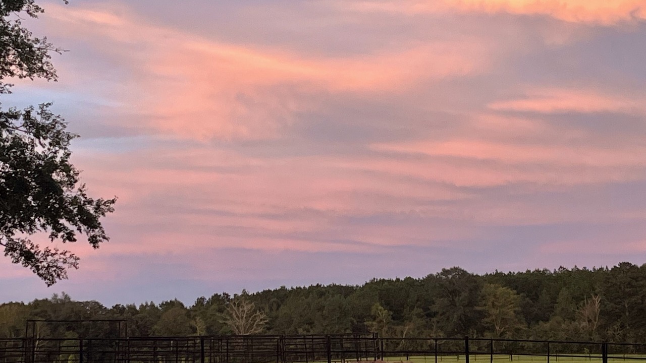 Photo of Others in Tylertown