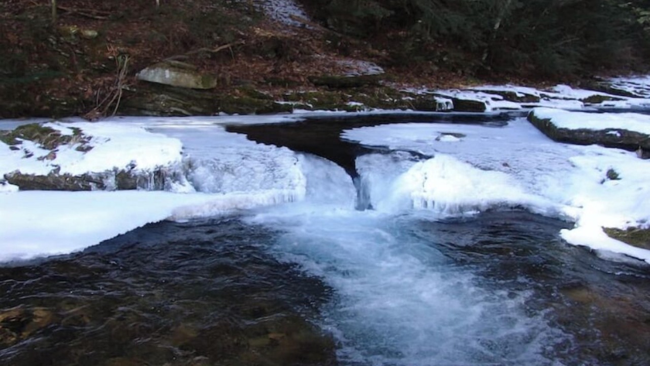 Photo of Others in Cammal