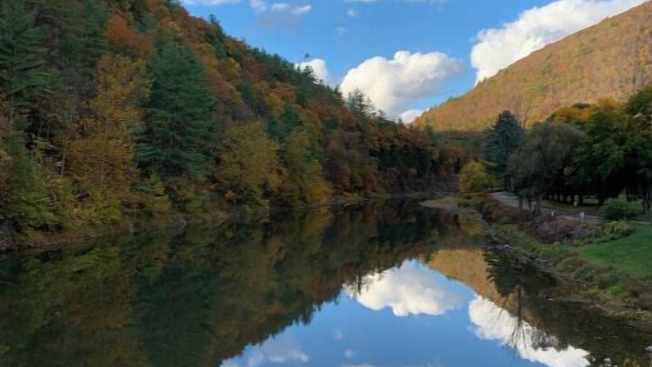 Photo of Others in Cammal