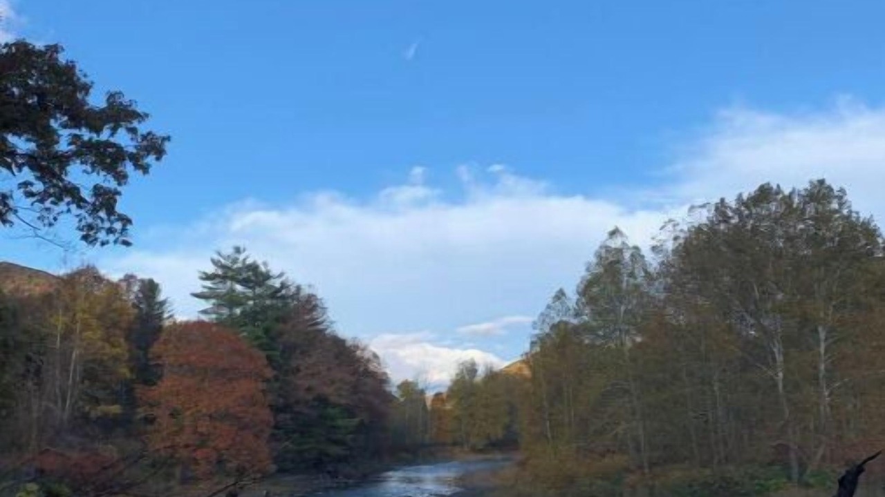 Photo of Others in Cammal