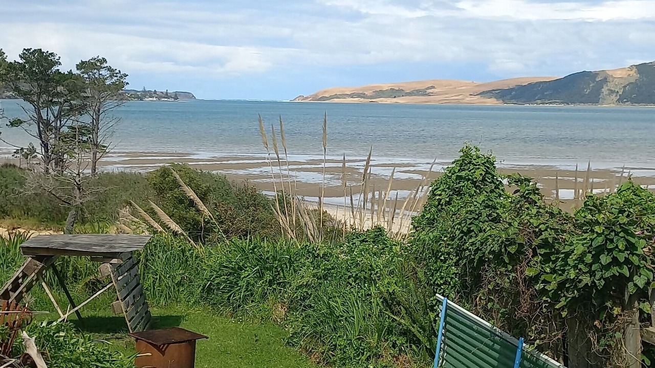 Photo of Outdoor in Opononi