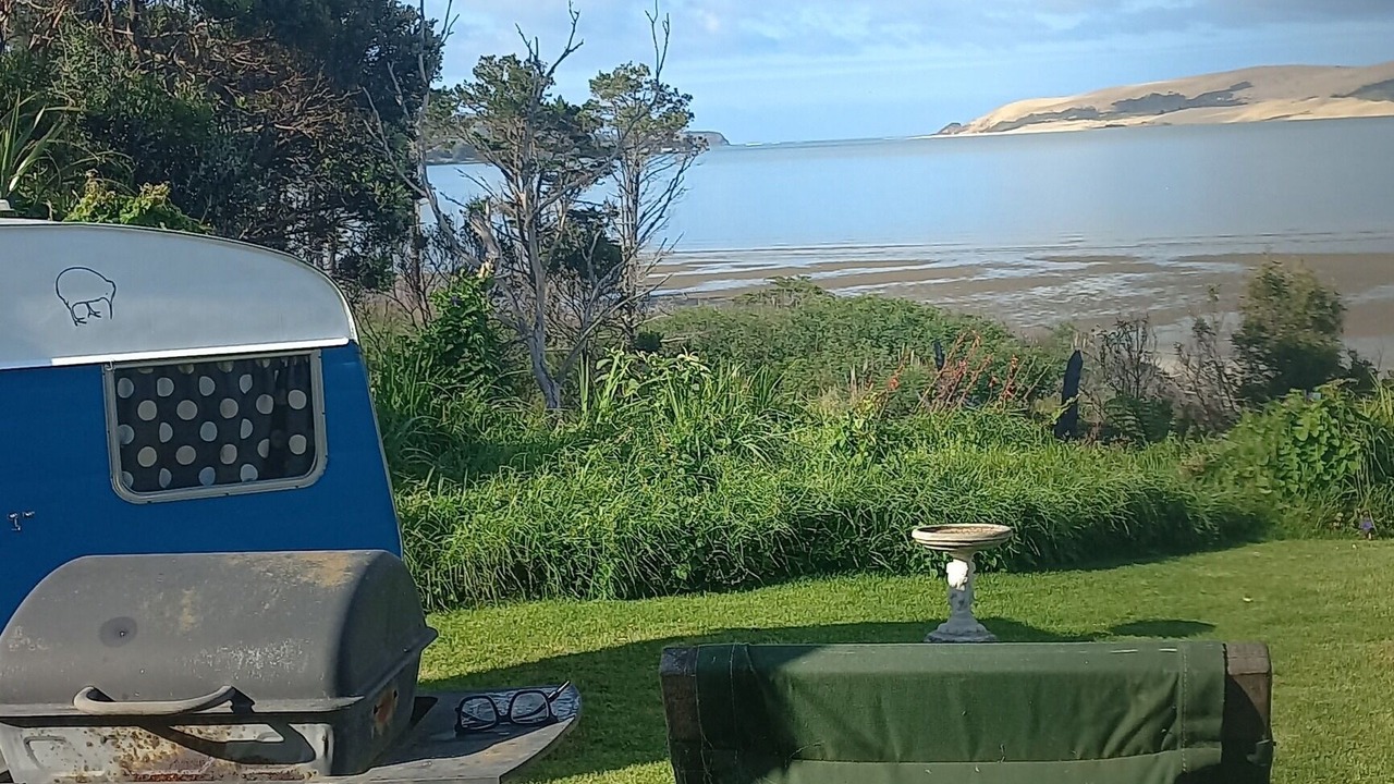 Photo of Outdoor in Opononi