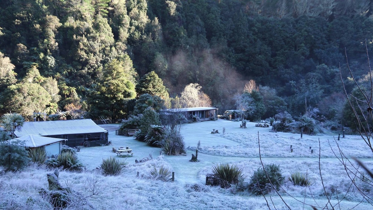 Photo of Outdoor in Waimiha