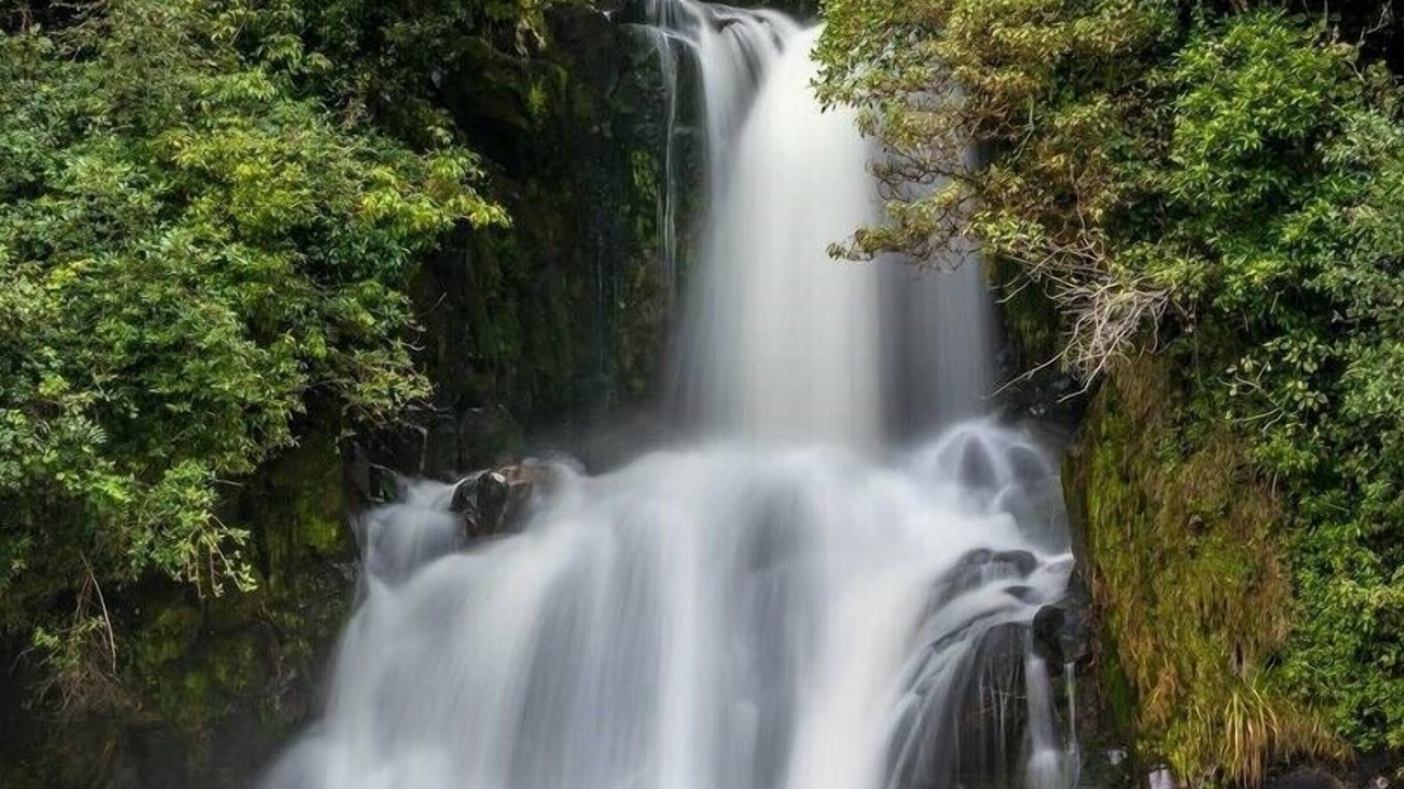 Photo of Outdoor in Waimiha
