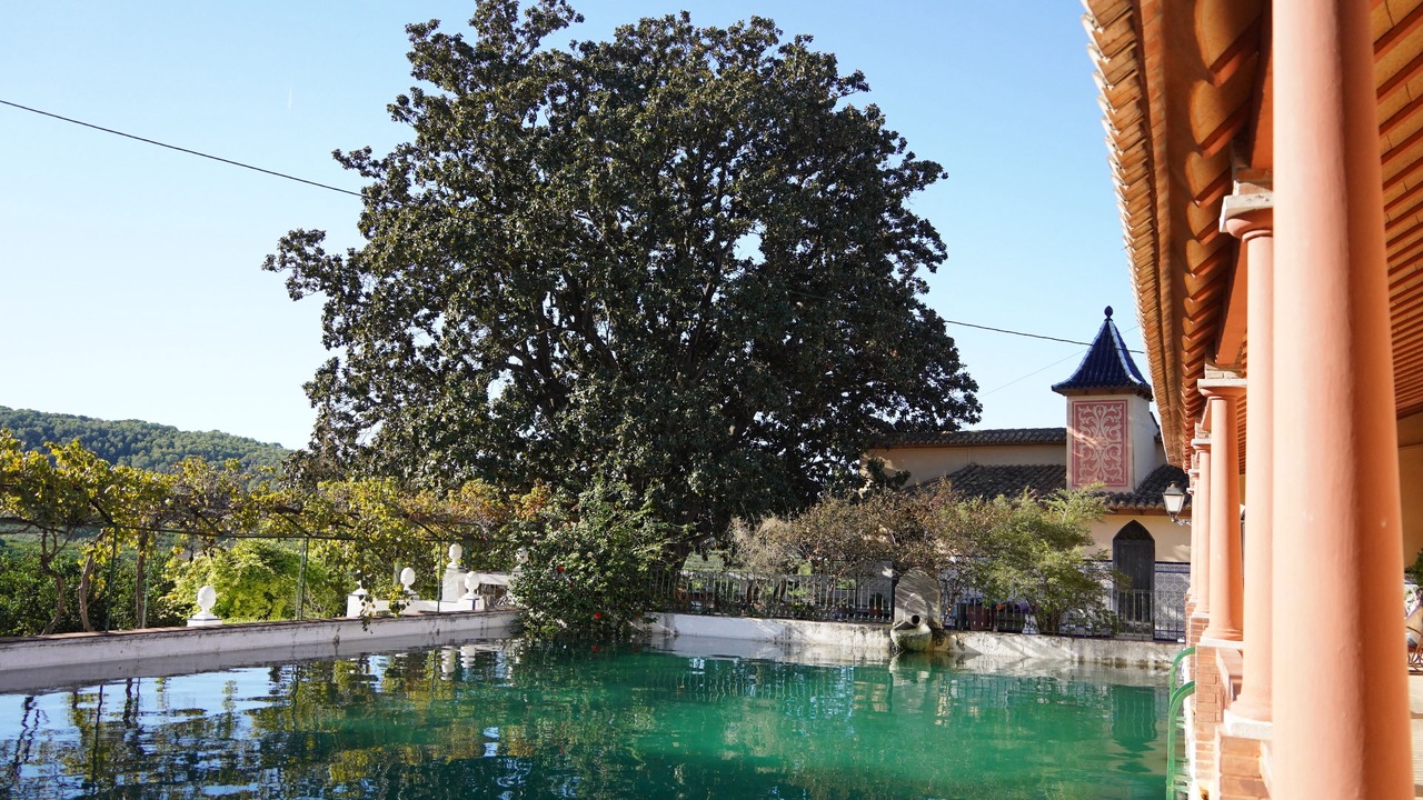 Photo of Outdoor in Alzira