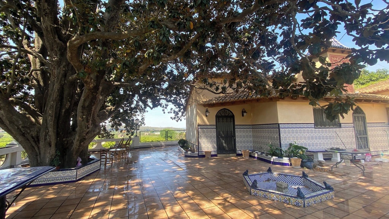 Photo of Outdoor in Alzira