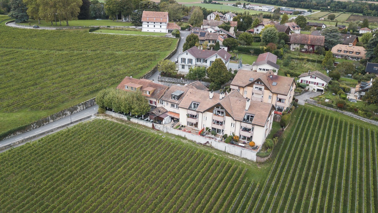Photo of Outdoor in Duillier