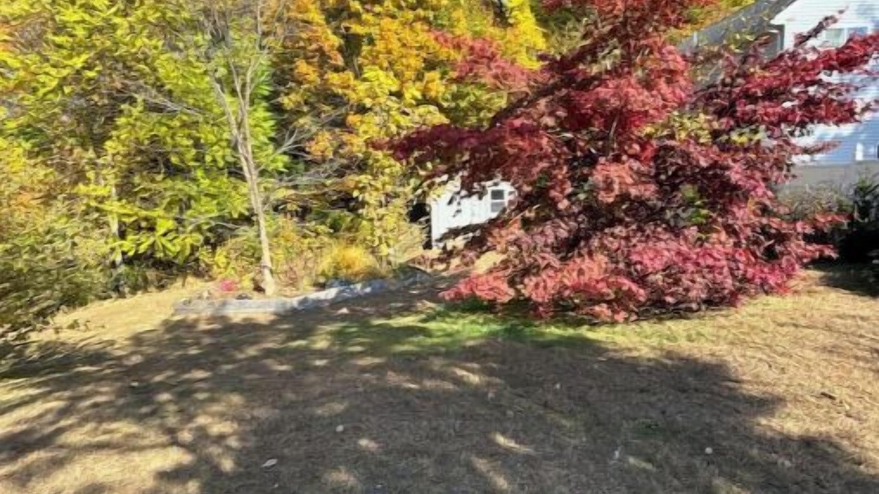 Photo of Outdoor in Plainville