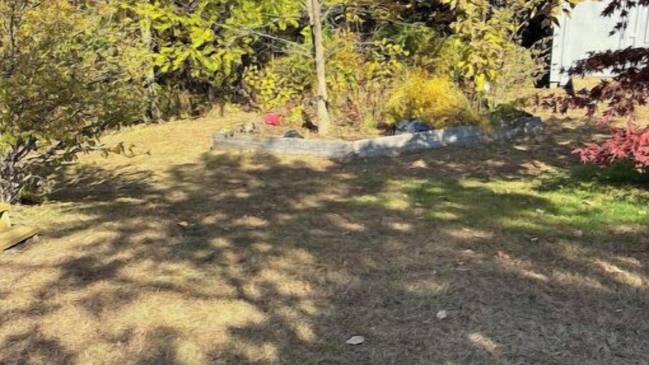 Photo of Outdoor in Plainville