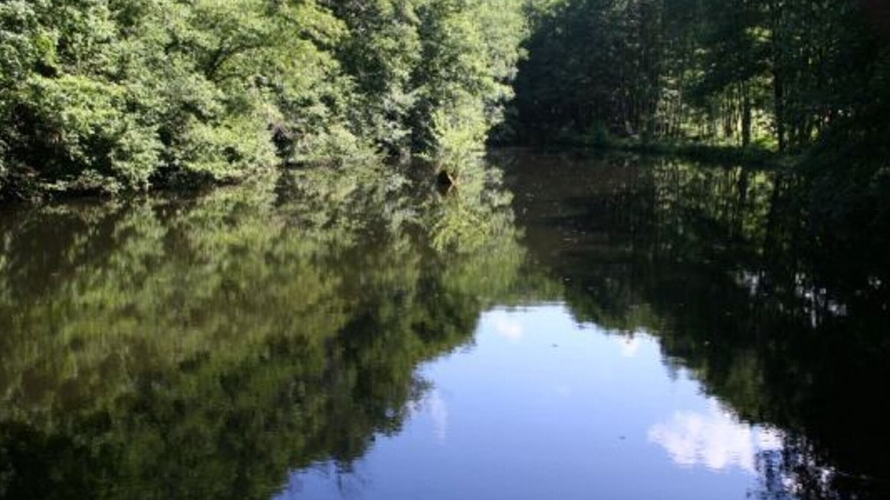 Photo of Others in Le Clerjus