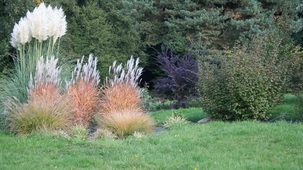 Photo of Outdoor in Le Clerjus