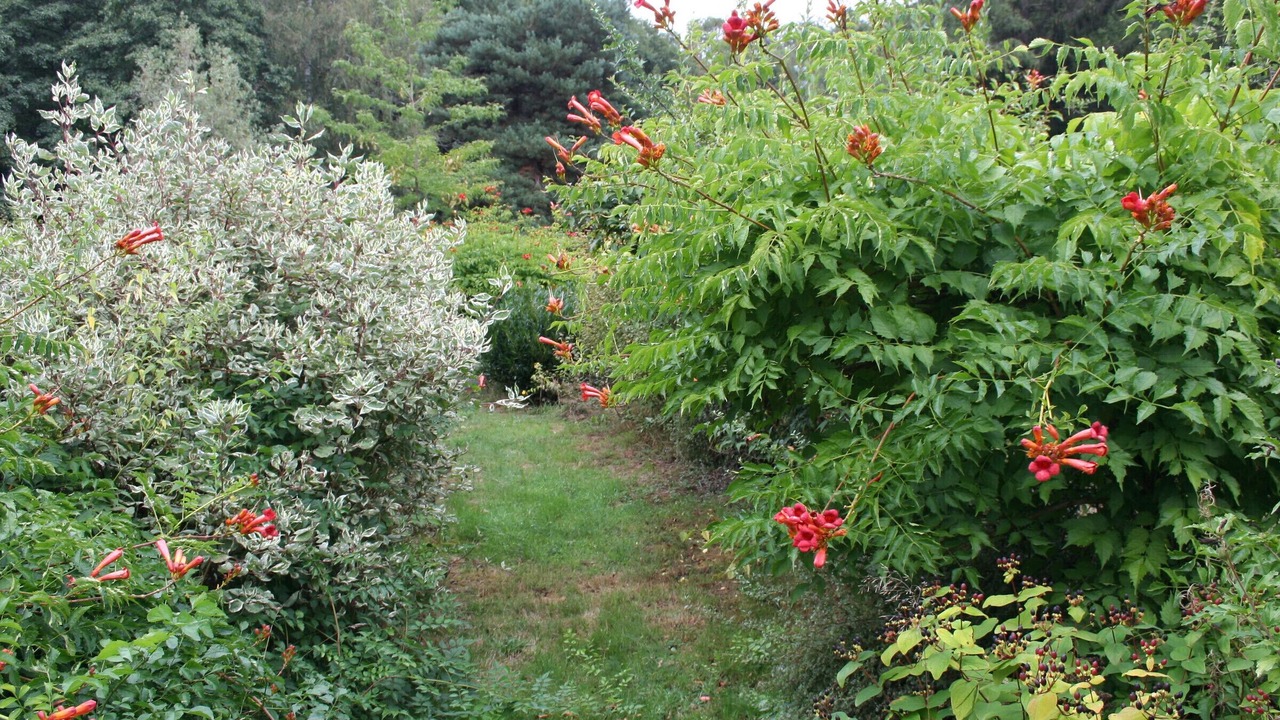 Photo of Outdoor in Le Clerjus