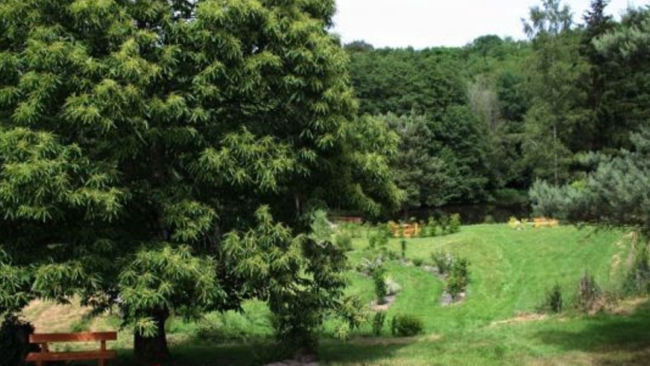 Photo of Outdoor in Le Clerjus