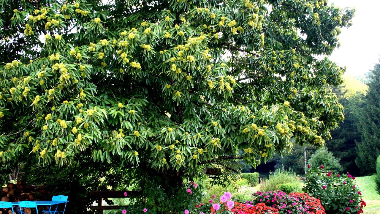 Photo of Outdoor in Le Clerjus