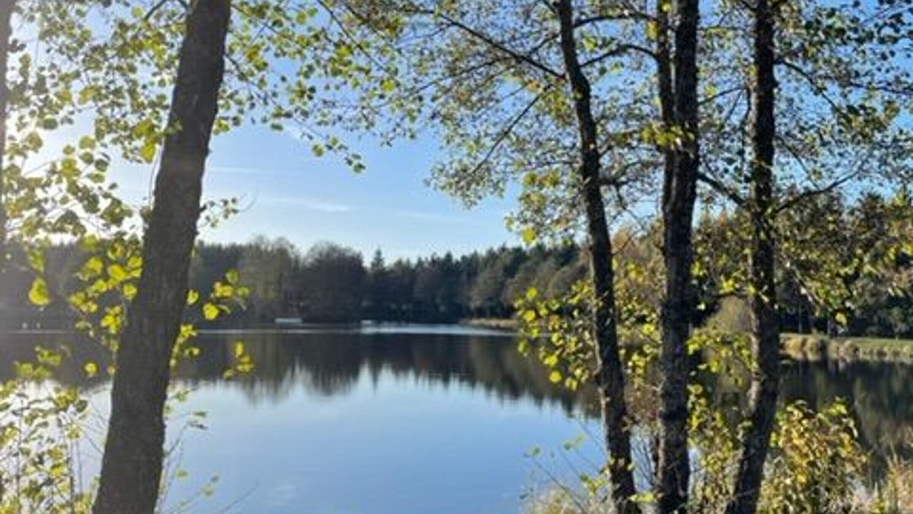 Photo of Others in Saugues