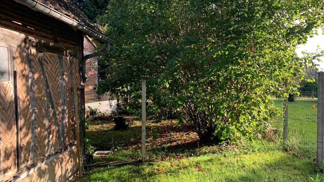 Photo of Outdoor in Lorris