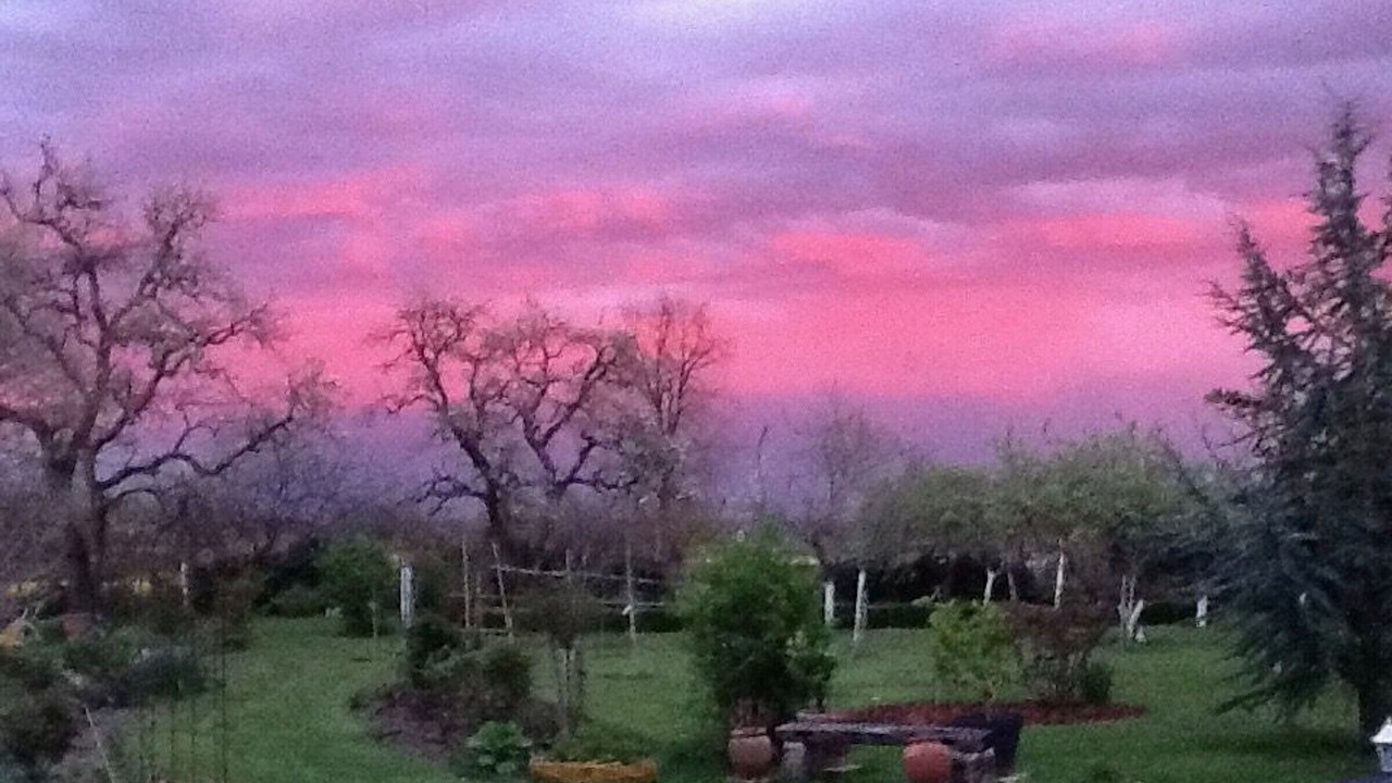 Photo of Others in Azay-le-Ferron