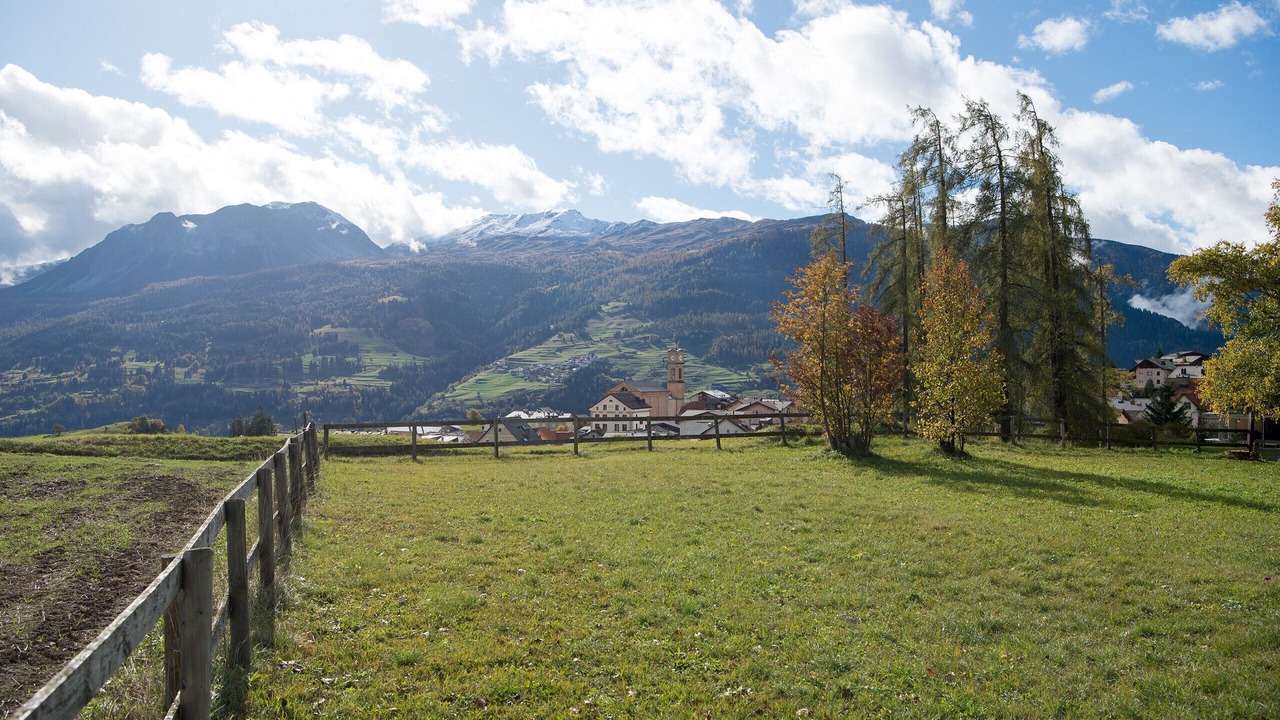 Photo of Others in Lenz